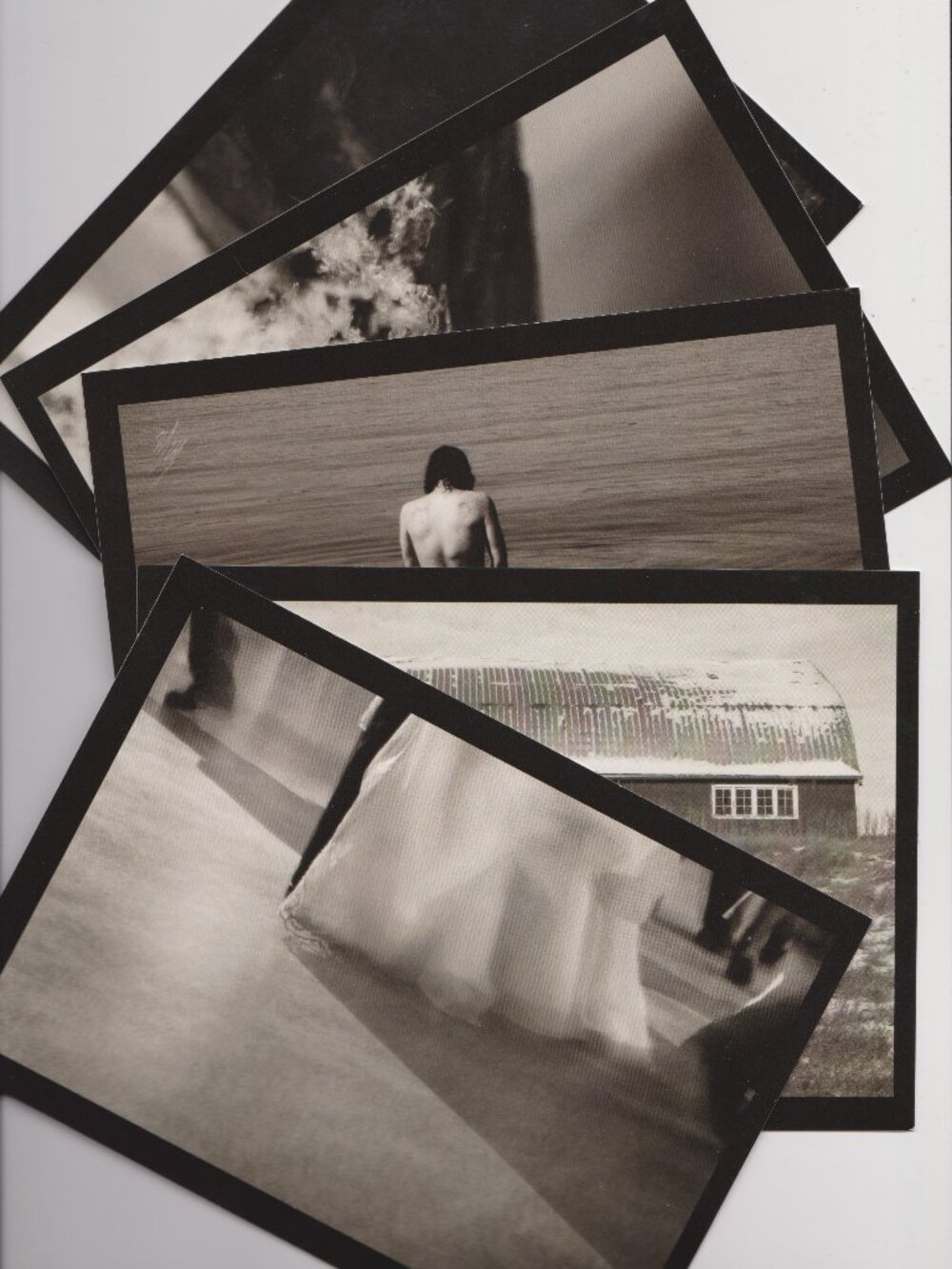 Postcards "Prairie Still Life" (Set of 5) - 5 x 7